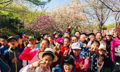 中队取名时应选择哪种花语？花语在中队命名中的作用是什么？
