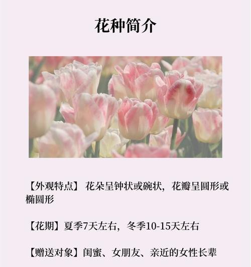 送闺蜜口红的花语是什么？它在友情中代表了什么？