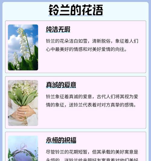 花语铃铛镯子的寓意是什么？它代表了什么？