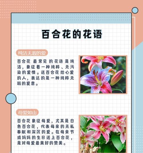 依米花的花语和寓意是什么？
