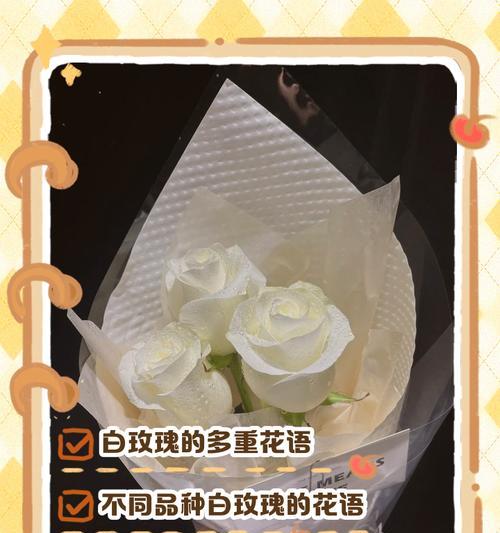 白色玫瑰象征着什么？