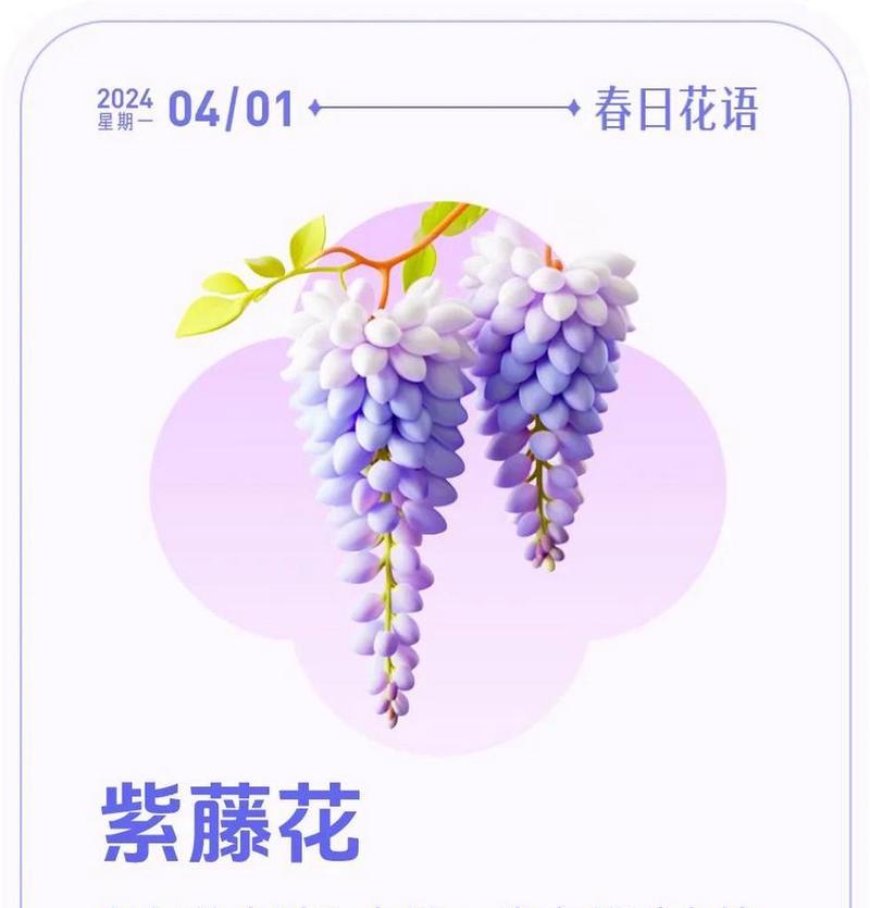 水晶紫藤的花语是什么？如何用紫藤花表达情感？