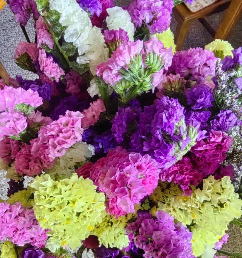 勿忘我这种紫色花的花语是什么？它代表了什么？
