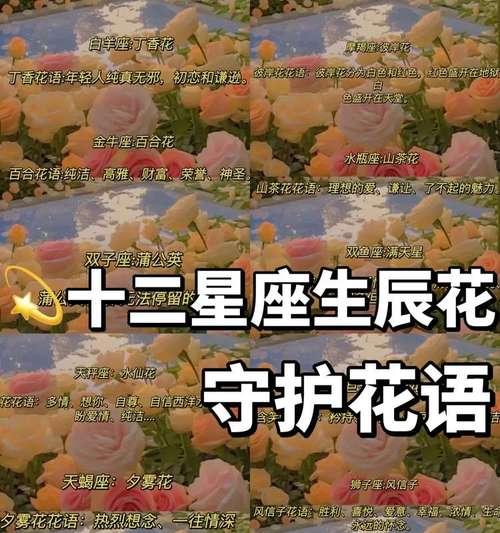 康馨花代表了什么？其花语有何特别之处？
