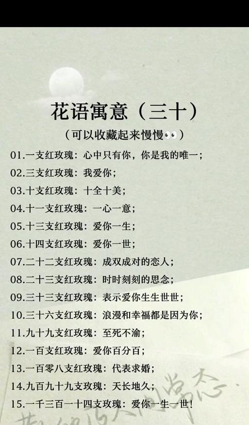 23朵花代表什么花语？这个数字有何特别含义？