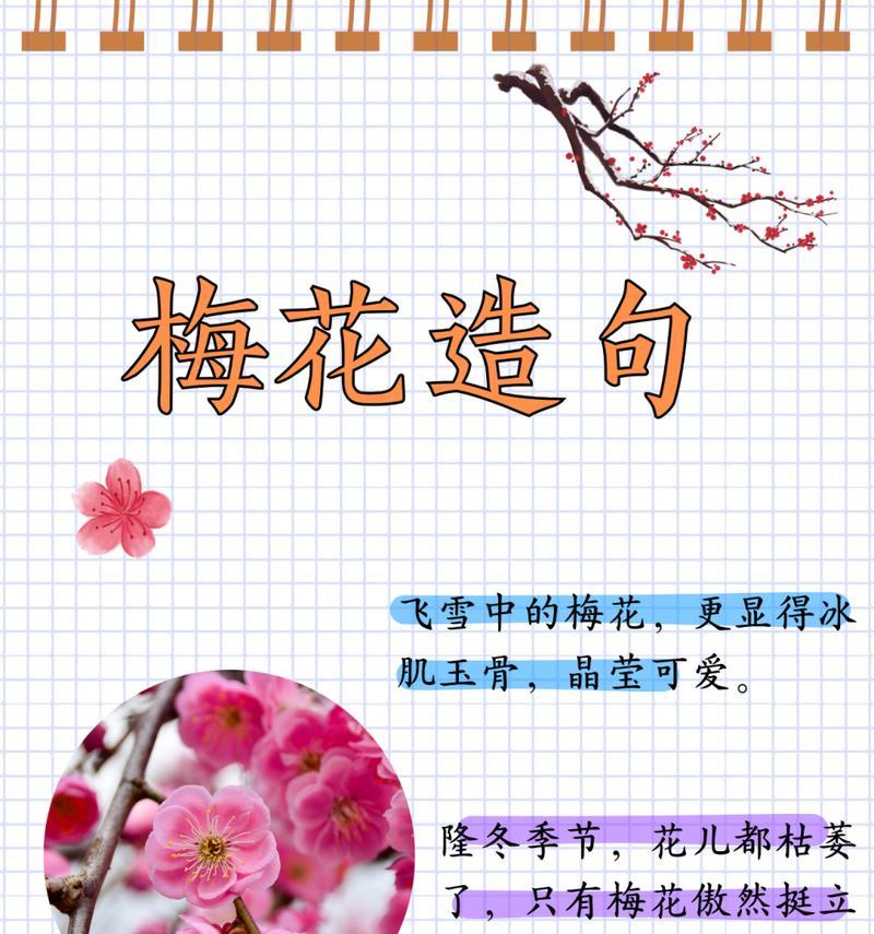 花语的词语是什么？这些词语如何帮助我们理解花语？