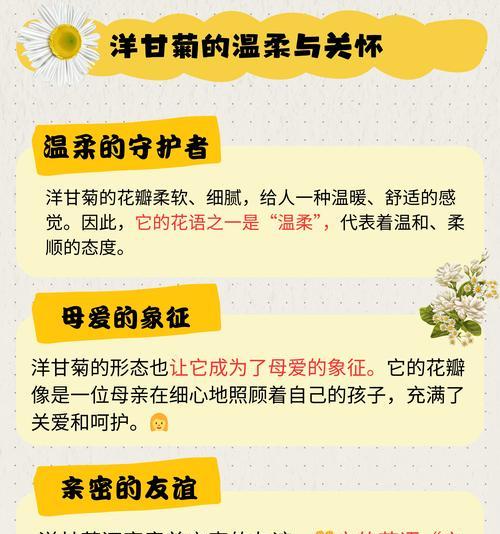 桔红色花的花语和寓意是什么？