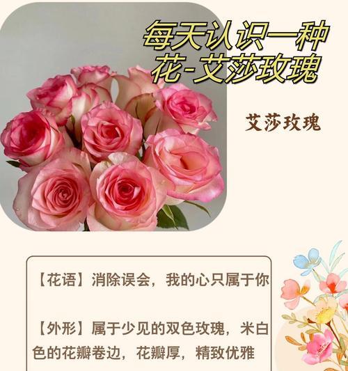 分手时送玫瑰有何忌讳？哪种玫瑰花不宜赠送？