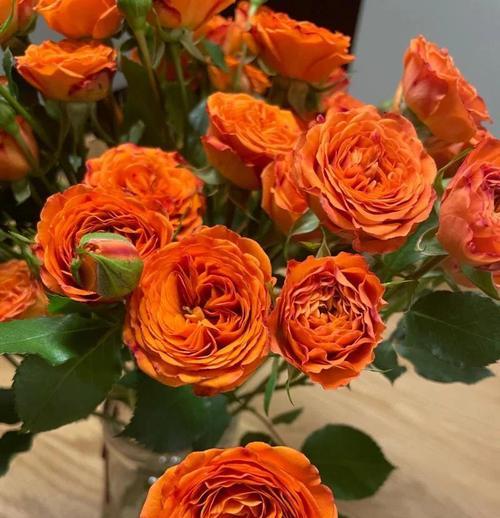 玫瑰花语在师兄间有何特殊含义？拜读师兄时送玫瑰的意义。