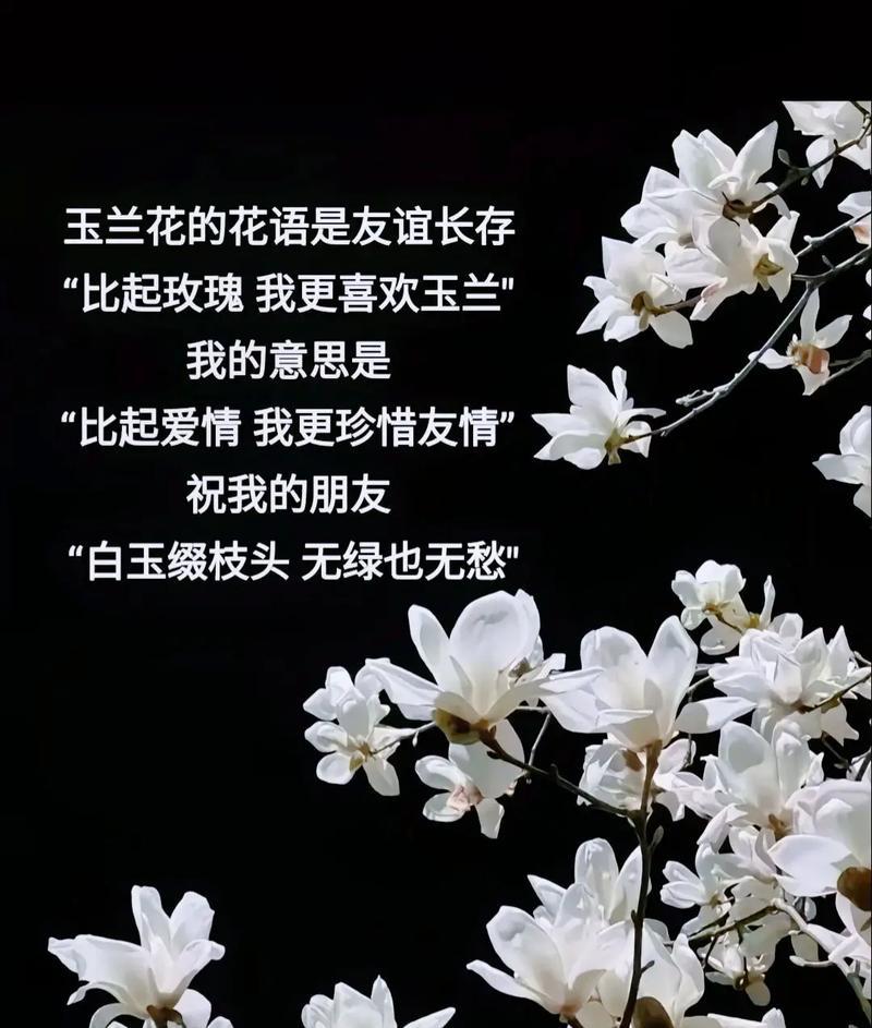 玫瑰花语在师兄间有何特殊含义？拜读师兄时送玫瑰的意义。