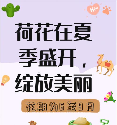 荷塘花语四新店开业时间是什么时候？新店开业有哪些优惠活动？