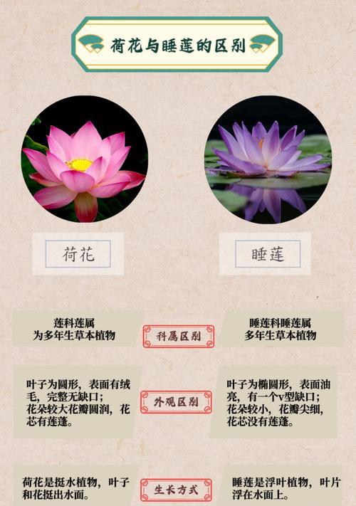 荷塘花语四新店开业时间是什么时候？新店开业有哪些优惠活动？