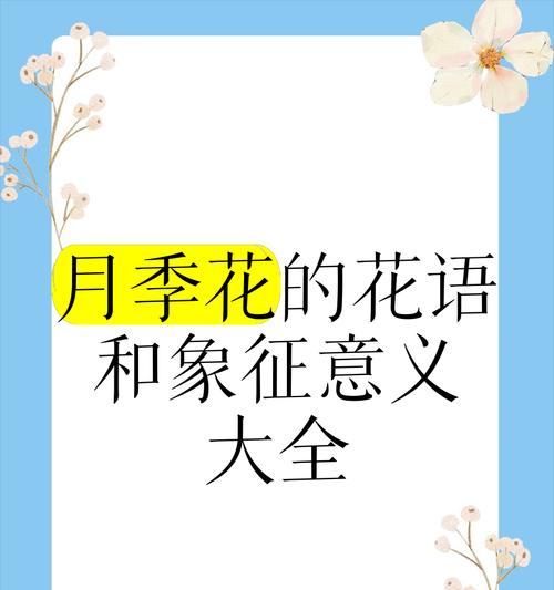 这些植物的花语和寓意是什么？如何解读它们的深层含义？