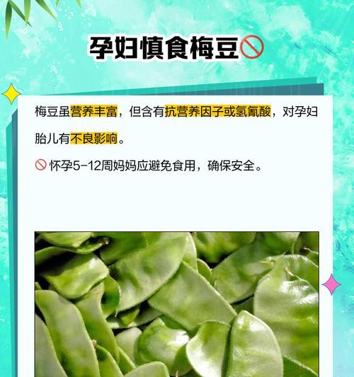 梅豆花的花语代表了什么？它的寓意有何特别之处？