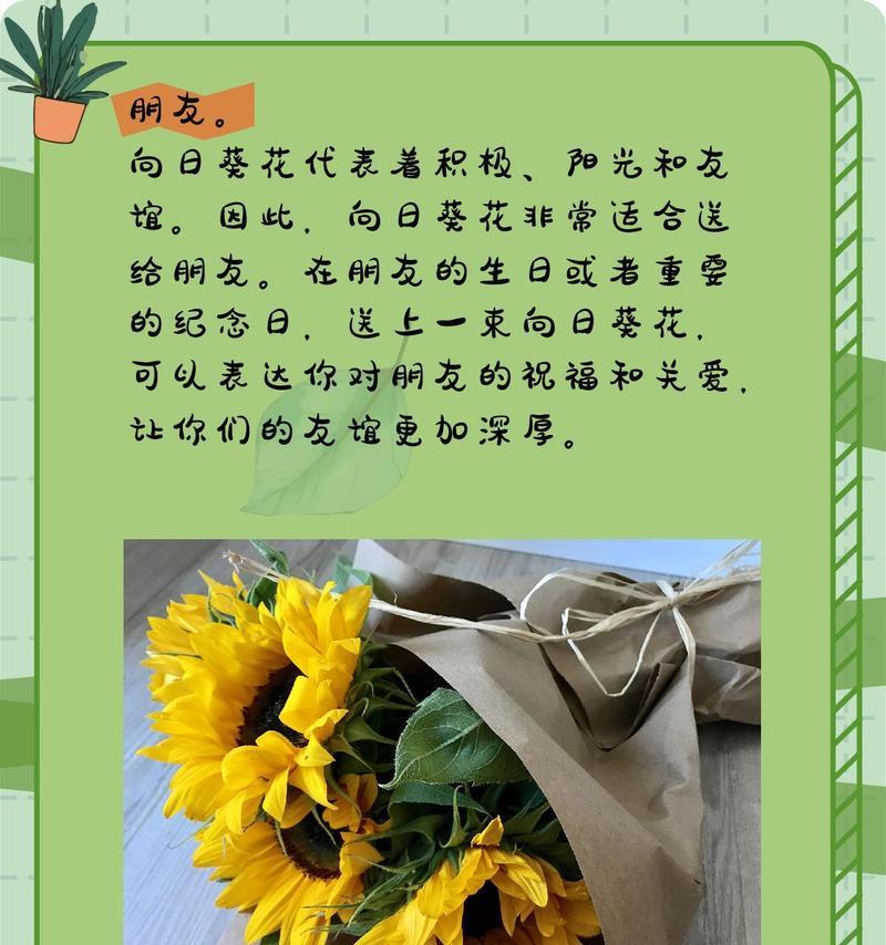 向日葵的花语有哪些？向日葵的寓意是什么？