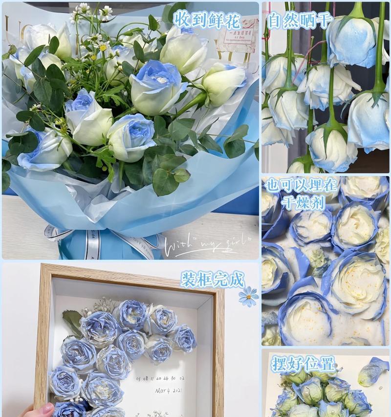 玫瑰花标本相框9朵代表什么？9朵玫瑰的花语是什么？