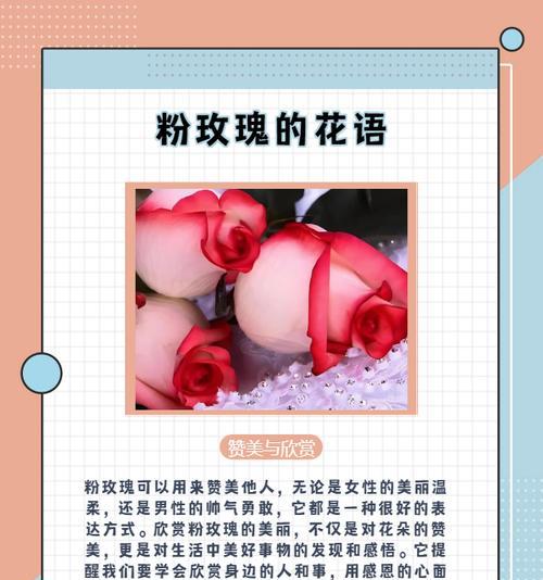 花语感谢我们相逢代表什么？感谢相逢的花语有何深意？