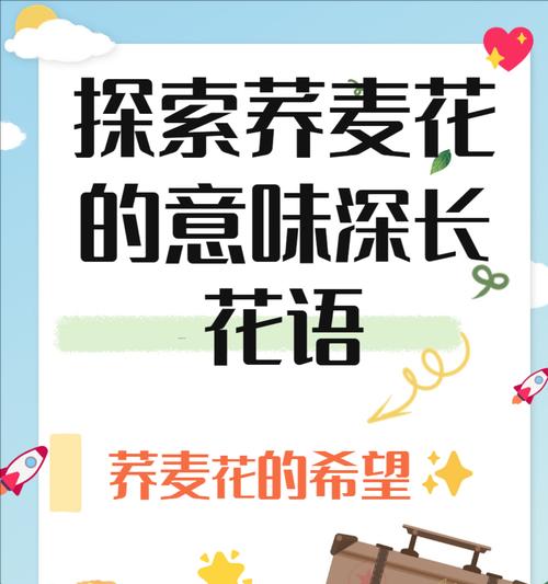花语可以用哪些词语来形容？它传递了哪些情感？