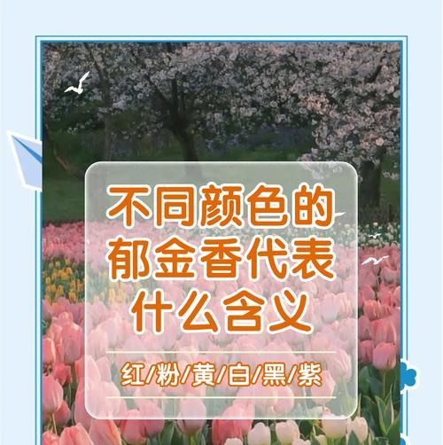 哪种花的花语用来形容少女的美丽？它在送礼时有何含义？