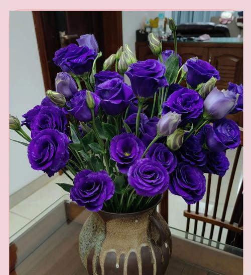 什么花语代表爱意？如何用花朵表达爱？