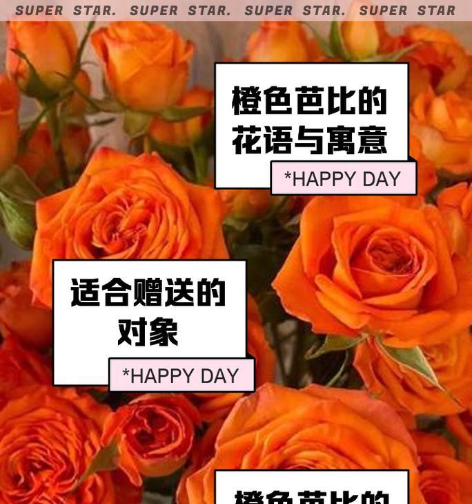 男生送布玫瑰给女生是什么意思？布玫瑰花语代表什么？
