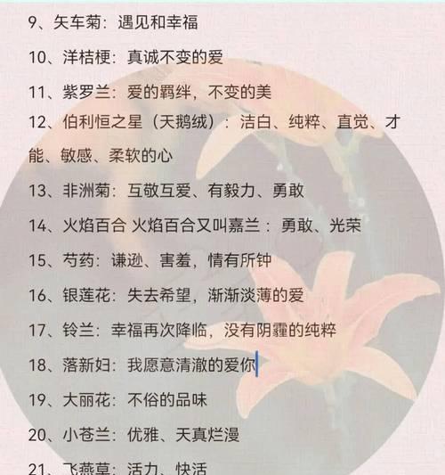 天长地久的花语是什么花？表达永恒爱意的花有哪些？