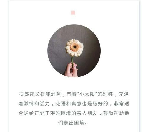 如何通过花语评论朋友？