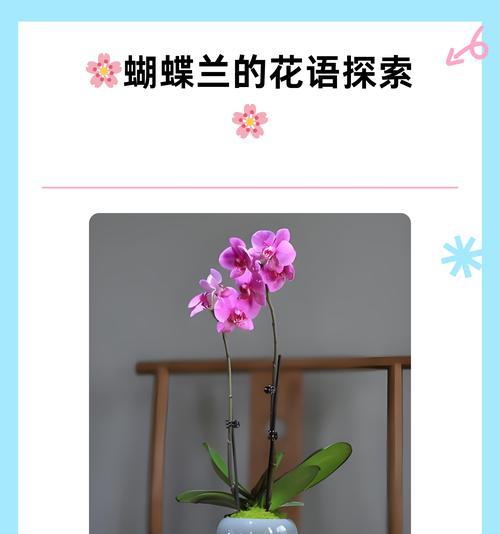 如何通过花语评论朋友？