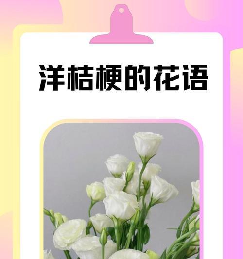 洋桔梗花的寓意与花语分别是什么？