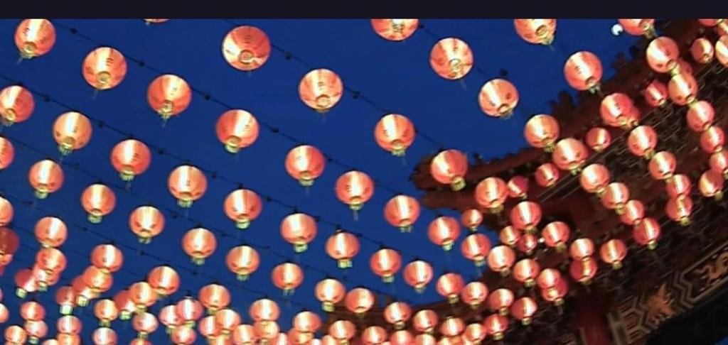 12月29日的花语有何特别之处？如何用花语庆祝这一天？