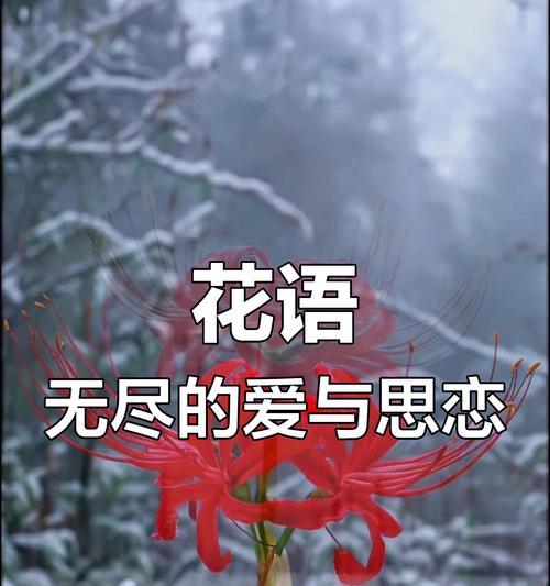 绝望的花语是什么？哪种花象征绝望？