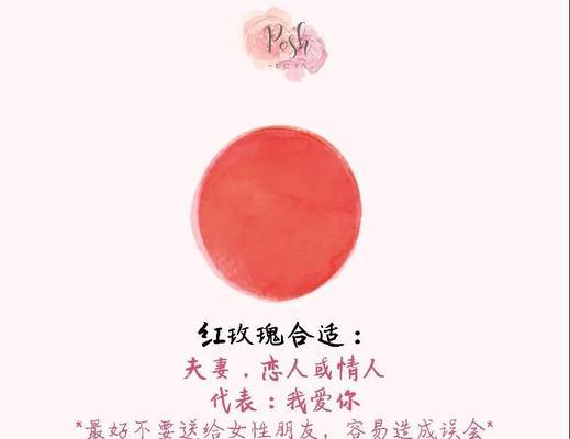 不同颜色玫瑰花语有何区别？它们各自代表什么？