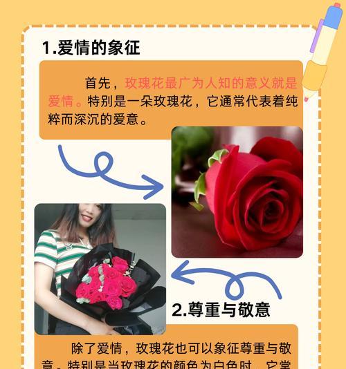 魔术玫瑰花语与生肖有何关联？