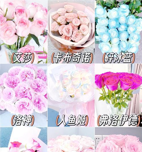 魔术玫瑰花语与生肖有何关联？