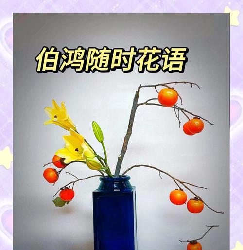 脆甜柿子花语有何含义？适合哪种场合？