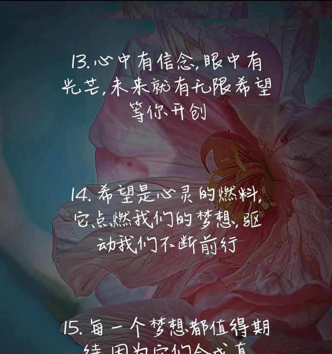 追求希望的花语具体表达了什么？