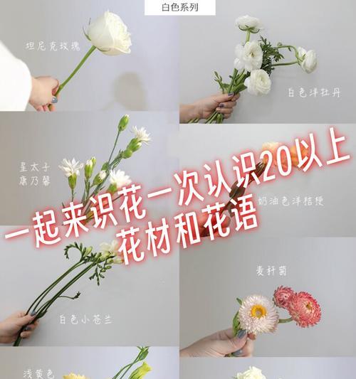 各种花的花语有哪些？