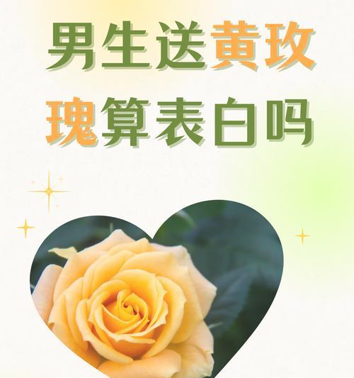 拒绝表白的花语有何含义？