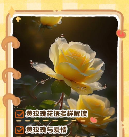 分手时发送玫瑰花表情包有何含义？花语中玫瑰代表什么？