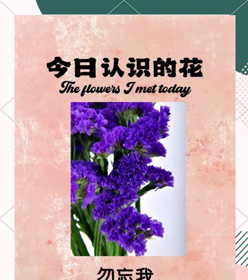 勿忘我花语有哪三个含义？它们分别代表了什么？