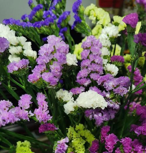 勿忘我花语有哪三个含义？它们分别代表了什么？