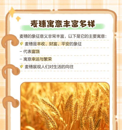 菊花麦穗的花语是什么意思啊？菊花麦穗象征着什么？