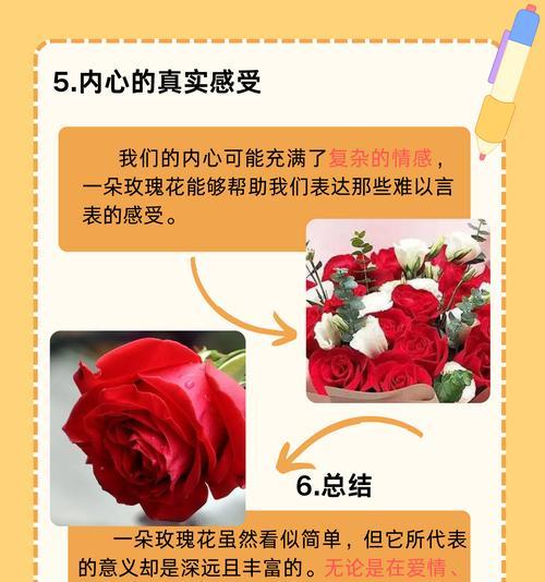 玫瑰花的花语有哪些？它在爱情中代表什么？