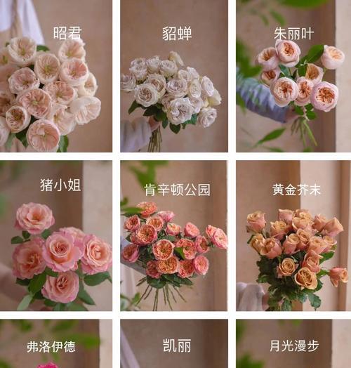 三五支玫瑰花代表什么动物？玫瑰数量与动物象征有何关联？
