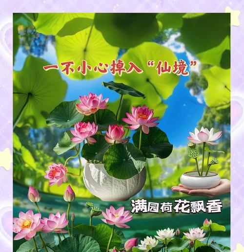 粉碗花的花语含义是什么？