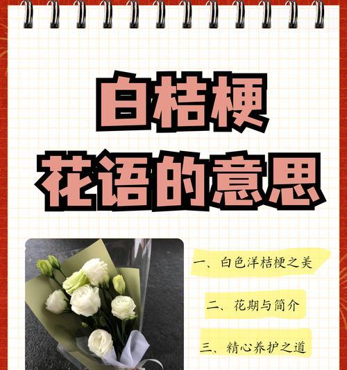 粉碗花的花语含义是什么？