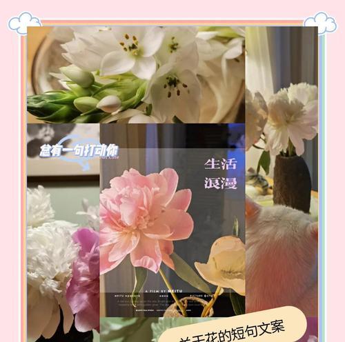 秋英花的花语短句能否表达季节之美？