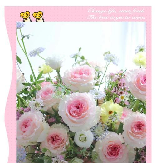 技师送玫瑰花好吗女生送什么？花语淡然结局又是什么呢？
