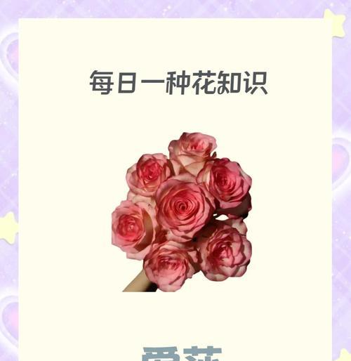 技师送玫瑰花好吗女生送什么？花语淡然结局又是什么呢？