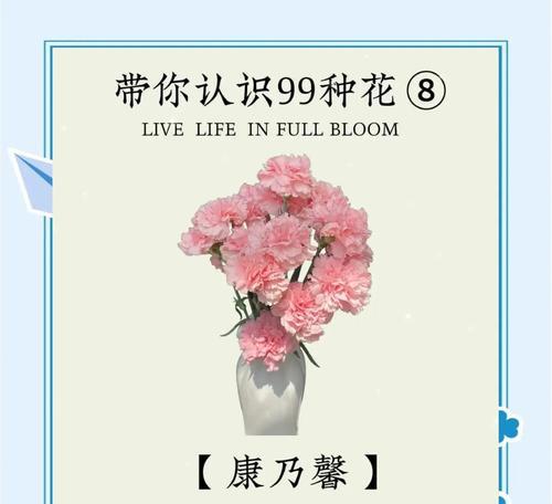 女艺人的花语是什么？女艺人通常选择哪种花？